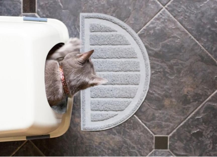 There are two types of litter available for cats - clumping and non-clumping. Non-clumping litter is made of absorbent materials like vermiculite or recycled newspaper and does not form clumps. Clumping litter is made of bentonite clay and forms clumps when wet, making it easy to scoop out.