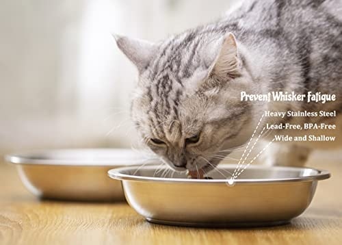 This bowl is designed to help with whisker fatigue and has a high capacity, making it ideal for big eaters. If you have a cat that is a heavy eater or drinker, you may want to consider getting a VENTION Stainless Steel Whisker Relief Bowl.