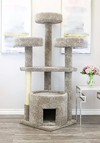 This cat tree is a great option for Maine Coons, as it is 33.1 inches tall and can accommodate large cats.