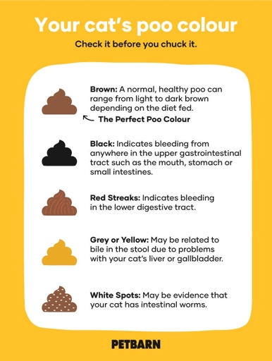This chart is a helpful guide for understanding what different colors of cat poop can indicate about your cat's health.