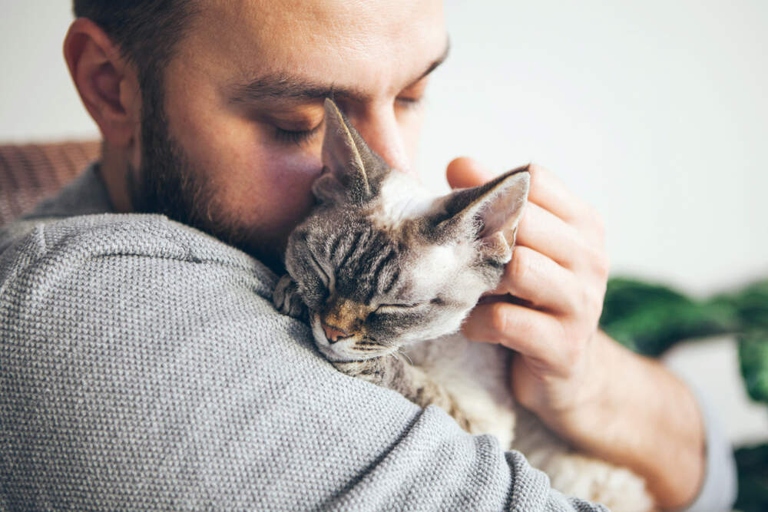 We know that cats feel loved because they show us affection in return.