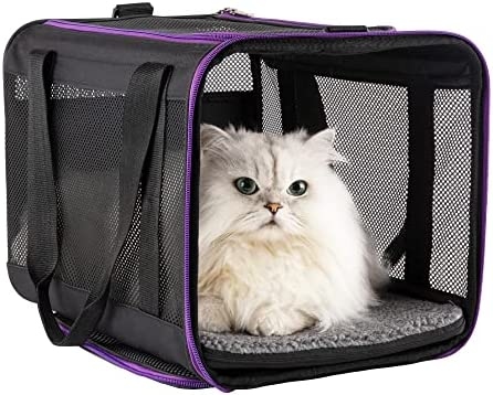 While hard plastic cat carriers may seem like they would be uncomfortable for your feline friend, they can actually be quite cozy.