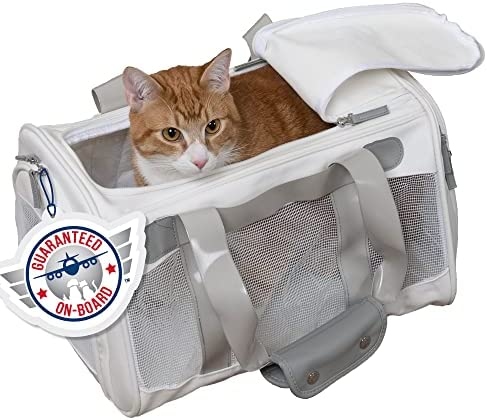 While it may be tempting to choose the cheapest or most stylish carrier, it's important to consider your cat's needs when selecting a carrier for car travel.
