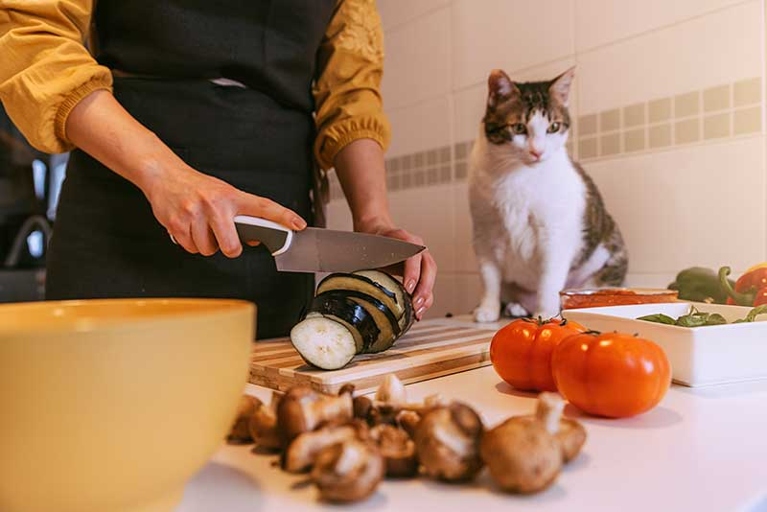 While some people choose to feed their cats a vegetarian diet, it's important to remember that cats are carnivores and require animal protein to thrive.
