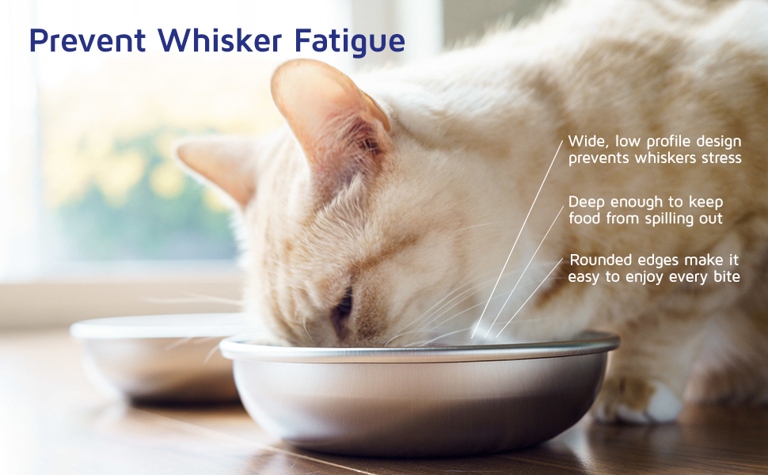 Whisker fatigue bowls are designed to be easy to clean.