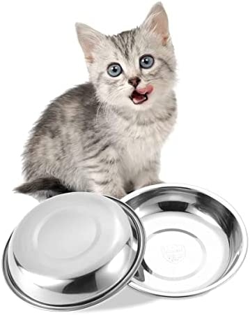 Whisker fatigue bowls are designed to make it easier for your cat to eat, but some people worry that they will make a bigger mess.