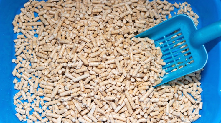 Wood pellet litter is made of compressed sawdust and is a sustainable, environmentally-friendly option for cat litter.