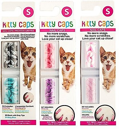 Wrapping up, cat nail caps are a great way to protect your furniture and yourself from your cat's claws.