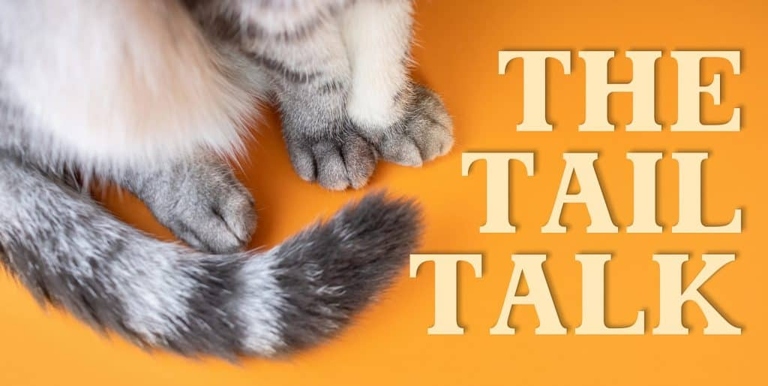 Yes, cats can live without tails, but they may have trouble with balance and may not be able to express their emotions as well.