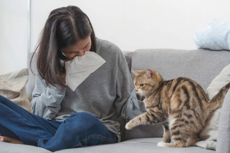 Yes, indoor cats can have allergies just like humans.