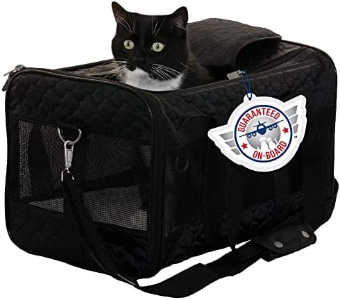 Yes, large cat carriers are airline approved as long as they meet the specific requirements set by the airline.